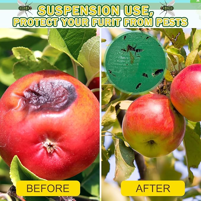 Qualirey 10 Set Fruit Fly Sticky Trap Balls Fungus Gnat Killer Bug Catcher Gnat Trap Insect Traps Indoor Outdoor Plant Fly Sticky Traps Ball for Fungus Plants(Green)