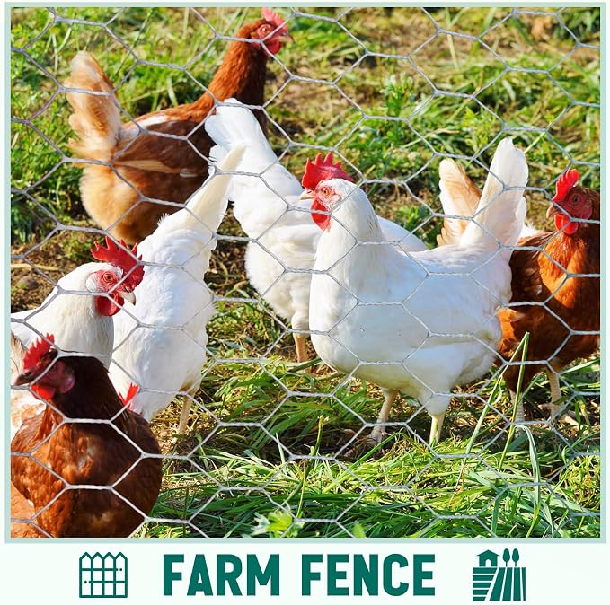 GlikCeil 36 in x 200 ft Chicken Wire Fencing Metal Floral Chicken Wire Mesh for Crafts Poultry Garden, 1 Inch Hexagonal Galvanized Hardware Cloth Netting for Poultry Coop Barrier Rabbit Cage(Silver)