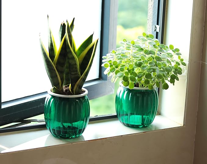 Cornasee 4" Pumpkin Planter Self Watering Pot, 4-Pack Small Plastic Planters for Indoor Plants,Snake Plant,Succulent,African Violets Green