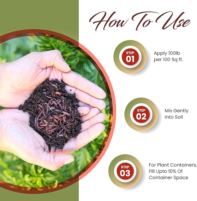 Worm Bliss (2 Gallons) + Coco Chips for Plants (10lbs) - Coco Coir Chips & Organic Worm Castings for Plants - Earthworm Castings Organic Fertilizer for Plants - Coconut Mulch Coconut Brick for Plants