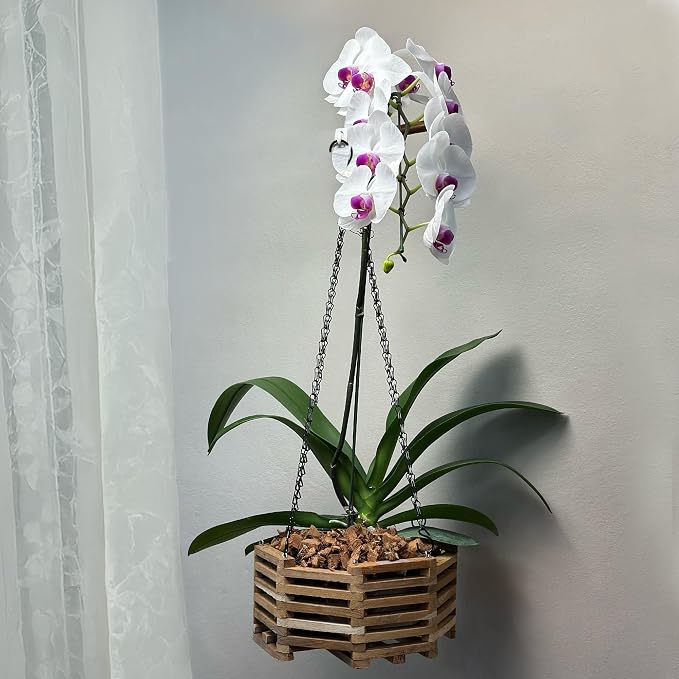 Teak Orchid Hanging Basket Set (4 Pack) – Solid Teak Wood Orchid Planters – Handmade Hanging Baskets for Vanda Orchids & Air Plants (Octagon)