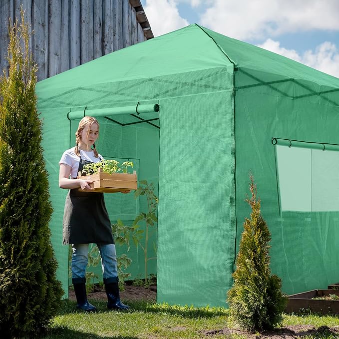 EAGLE PEAK 10x10 Portable Walk in Greenhouse, Pop Up Indoor Outdoor Greenhouse, Green House Kit with Zippered Roll-Up Doors and Windows, PE Cover, Clear/Green