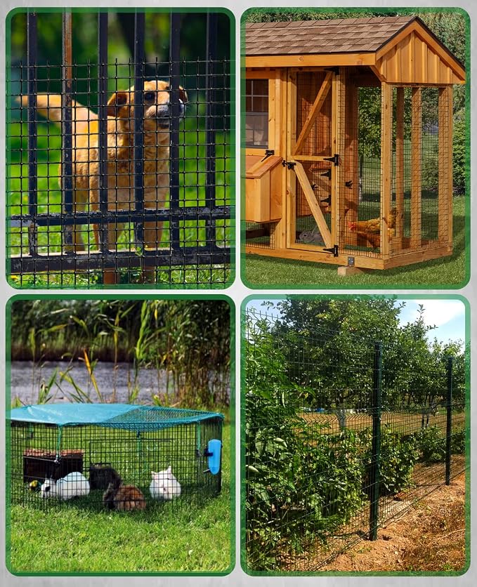 GoldPeak Black Vinyl Coated Hardware Cloth 1/2 inch 60 inch x 100 Foot - Chicken Wire Fence Roll Garden Fence Mesh Wire Fencing Welded Wire Fencing Garden Fencing Chicken Coop Wire