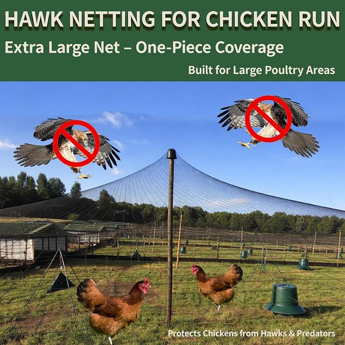 20x20ft Bird Netting for Chicken Coop 1/2 inch Mesh Heavy Duty Chicken Netting Animal Barrier, Poultry Netting Roof Cover for Chicken Run, Bird Net for Fruit Tree Against Birds Squirrels Rabbits