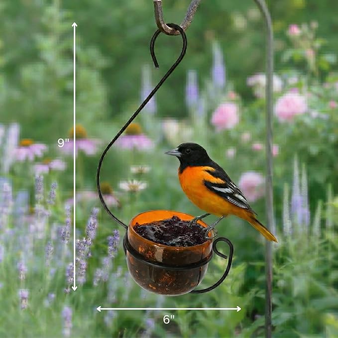 Oriole Jelly Feeder - Sparkling Orange Glass Bowl with Decorative Hanging Hook - Removable Cup for Easy Cleaning - Outdoor Baltimore Oriole Feeder for Grape Jelly, Fruit & Nectar