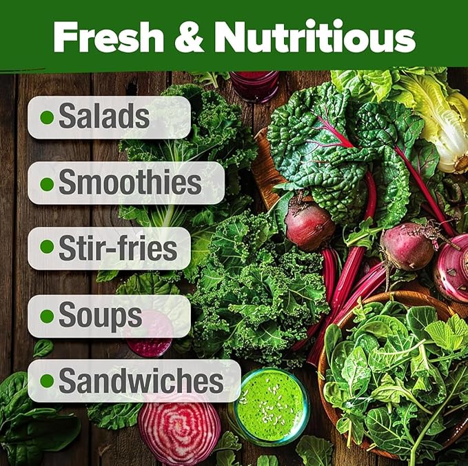 HOME GROWN 20 Variety Lettuce Seeds 21,500+ Bulk Pack Heirloom Non-GMO High Germination, Romaine, Butterhead, Spinach, Kale, Iceberg, Continuous Harvest Indoor Outdoor Hydroponic Garden (20 Varieties)