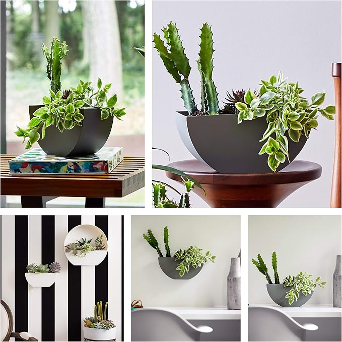 Bloem Bodye Half Moon Wall Mounted Hanging Planter 11" Charcoal Gray (BOD11908-HM)