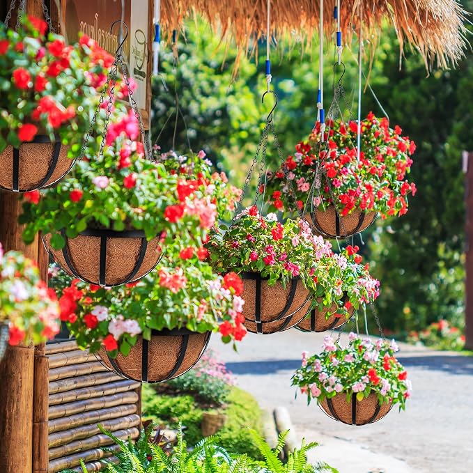 Didaey 8 Pcs Metal Hanging Basket with Coconut Coir Liner Hanging Flower Basket with Chain Indoor Outdoor Plant Flower Pot 10 Inch Round Wire Plant Holder for Garden, Patio, Deck, Porch Garden Decor