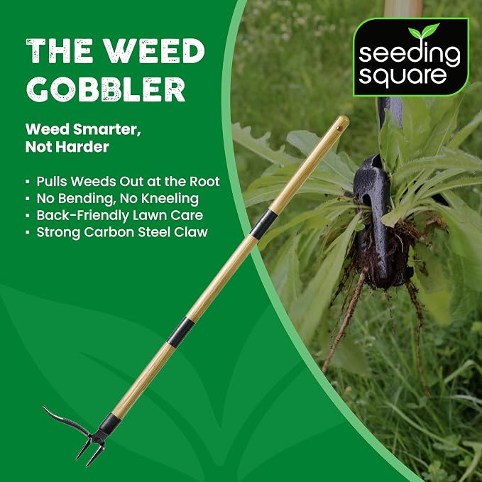 Seeding Square The Weed Gobbler Carbon Steel & Bamboo Stand-Up Weed Puller Tool for Dandelions and Single-Root Weeds – Ergonomic Lawn Weeder for Back-Friendly Weed Removal