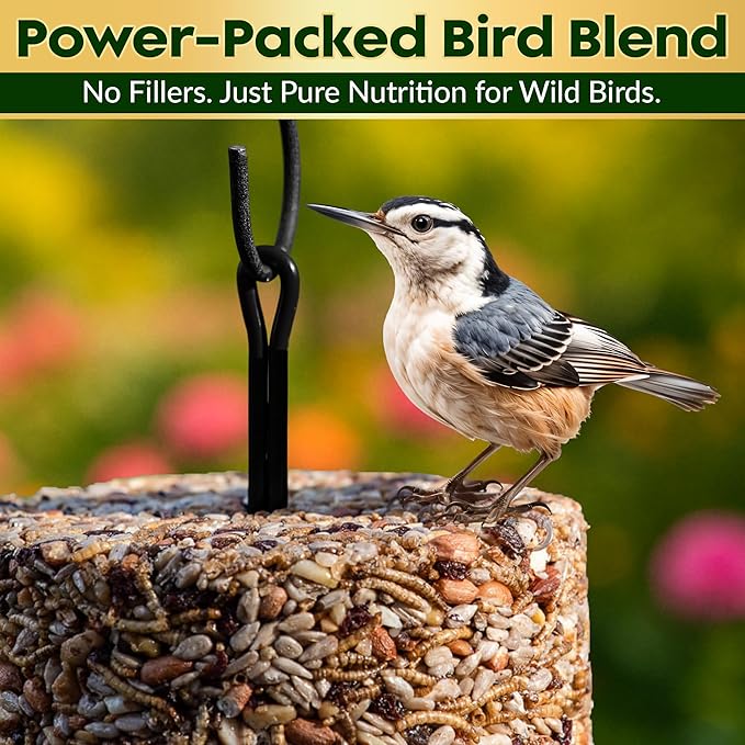 Bugs, Nuts & Berries Bird Seed Cylinders with Hole – Wild Bird Food for Blue Bird, Woodpeckers, Cardinals & More – Premium Protein-Rich All Natural Blend, No Fillers – USA Made (3.75 lbs, 6" x 7.75")