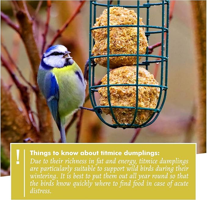 Wild Animal Heart | Fat Ball Holder 12" - 5 Year Guarantee - Made of rustproof Metal Bird Feeding Station for Fat Balls - Ecological Bird Feeder (31cm, Green)