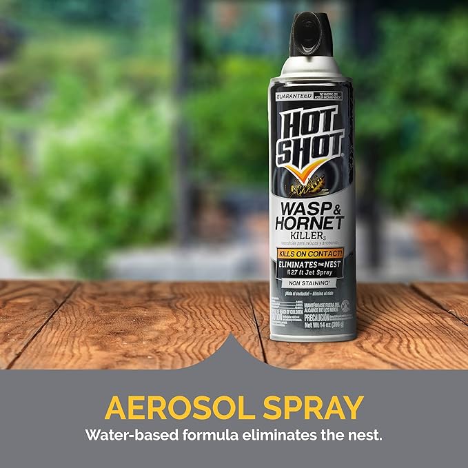 Hot Shot Wasp and Hornet Killer Aerosol, Up to 27-Foot Jet Spray, 14 Ounces, 2 Pack