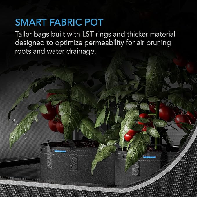 AC Infinity Heavy Duty Fabric Pots, 1 Gallon Aeration Reusable Grow Bags 5-Pack with 500G Thick Nonwoven Fabric and Multi-Purpose Rings, for Low Stress Plant Training Fruits, Vegetables, and Flowers
