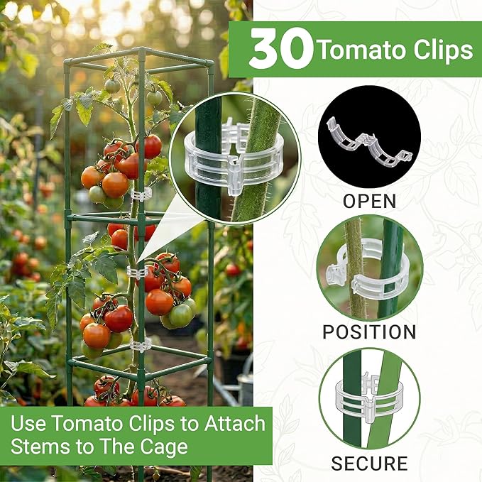 Tomato Cage Square - Large Trellis Stakes and Plant Support Structures for Vegetables and Climbing Plants - Tall Tomato Cages for Garden, Pots, Raised Garden Bed Outdoor Supplies (6 Pack - Up to 41")