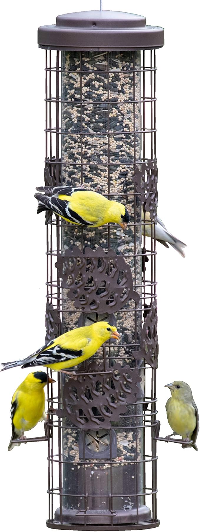 Perky-Pet SBG101 Squirrel Off Max Pinecone Bird Feeder with Flexports – 1.75 lb Capacity