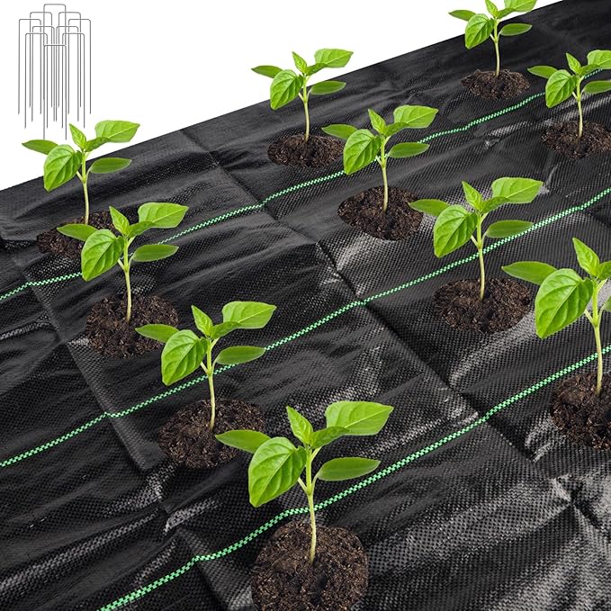 33 x 3.3 Ft Weed Barrier Landscape Fabric, Garden Weed Barrier Fabric Heavy Duty with Planting Holes, Ground Cover Weed Barrier Weed Cloth with 10 U-Shaped Ground Nail For Garden Weed Control