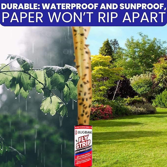 Fly Strips Indoor Sticky Hanging 48pk with Pins. Non Toxic Outdoor Fly Trap Indoor for Home. Flies Tape Paper Trap Ribbon Roll for House Gnat Fruit and Housefly. Bug Catchers for Inside Home Flypaper.