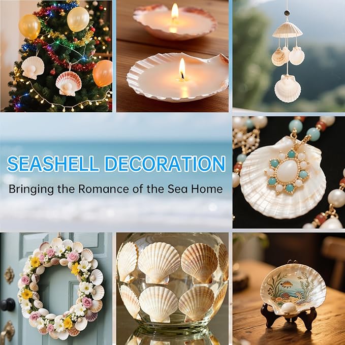 ReePlan 30PCS Large Scallop Shells for Crafts, 4-5 Inch Natural Sea Shells for Decorating, White Seashells Bulk for DIY Crafting, Painting, Baking, Ocean Themed Party Supplies & Decorations