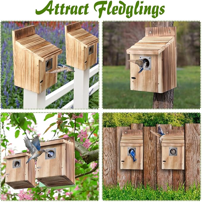 Dreyoo 8 Pack Bluebird Houses for Outside with Metal Predator Guard, 1-1/2" Entrance Hole Wooden Blue Bird Houses for Outdoors, Bluebird Nesting Box with Screwdriver (Burnt Wood Color)