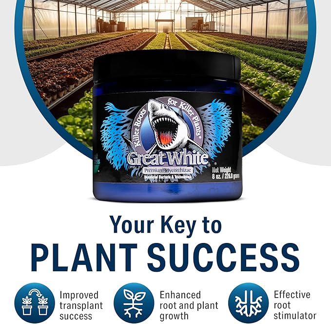 Great White Mycorrhizal Fungi 4 oz, Beneficial Bacteria for Plant Growth, Root Stimulator, Concentrated 3-in-1 Formula by Plant Success