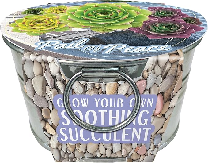 Unique Gardener Flowering Tin Plant Seeds 3 Variety Pack, DIY Indoor Succulents and Live Plants for Home or Garden Planting, Assorted Tin Pack