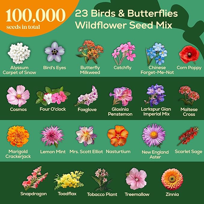 Seedphony 23 Wildflower Hummingbird & Butterfly Mix 4 oz - 100,000 Non-GMO Heirloom Wildflower Seeds for Planting Garden, Perennial Flowers to Attract Bees, Butterflies & Birds in Waterproof Packet