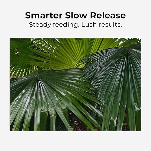 Real Growers Palm Tree Fertilizer 12-4-11 | 12-Month Slow Release Granular Plant Food for Queen Palm, Sago Palm, Date Palm, Cycad | 18 lb