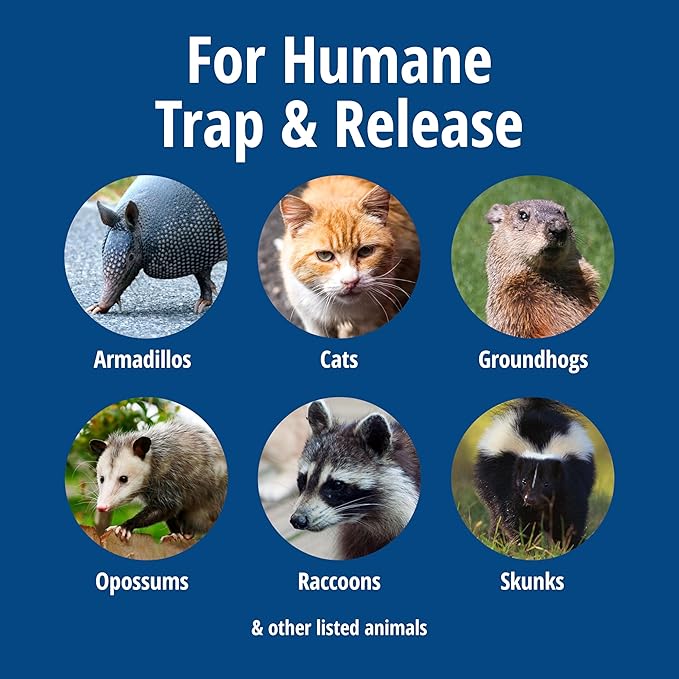 HAVAHART 1079SR Large 1-Door Humane Catch and Release Live Animal Trap Cage - Live Raccoon Trap, for Bobcats, Beavers, Dogs, & More
