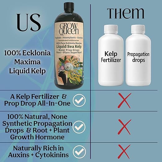 Organic Liquid Kelp & Seaweed Extract Prop Drop (Ecklonia Maxima) – Root + Plant Growth Hormone & Root Plant Food for Water Propagation, Hydroponics & Soil – 8oz 55 Gallons