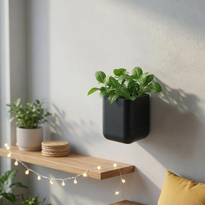 Phoenix Vine 4.5 Inch Wall Mounted Self-Watering Planter Pot for Indoor Houseplants and Herbs | Hanging Planter for Window Sills, Bathroom Walls, Home & Office Décor, Black, Set of 3, 01-B-E-3