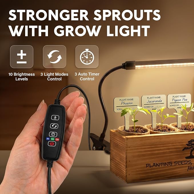 AVERGO Bonsai Tree Kit Deluxe + Growing Light - 5X Unique Japanese Bonzai Trees | Complete Indoor Bonsai Starter Kits for Growing Trees – DIY Gardening Gifts for Mother, Women & Men