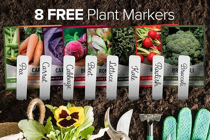 Gardeners Basics Winter, Fall, and Spring Vegetable Seeds for Planting | Cool Weather Crops | 8 Varieties: Sugar Snap Pea, Carrot, Beet, Radish, Lettuce, Broccoli, Kale, Cabbage