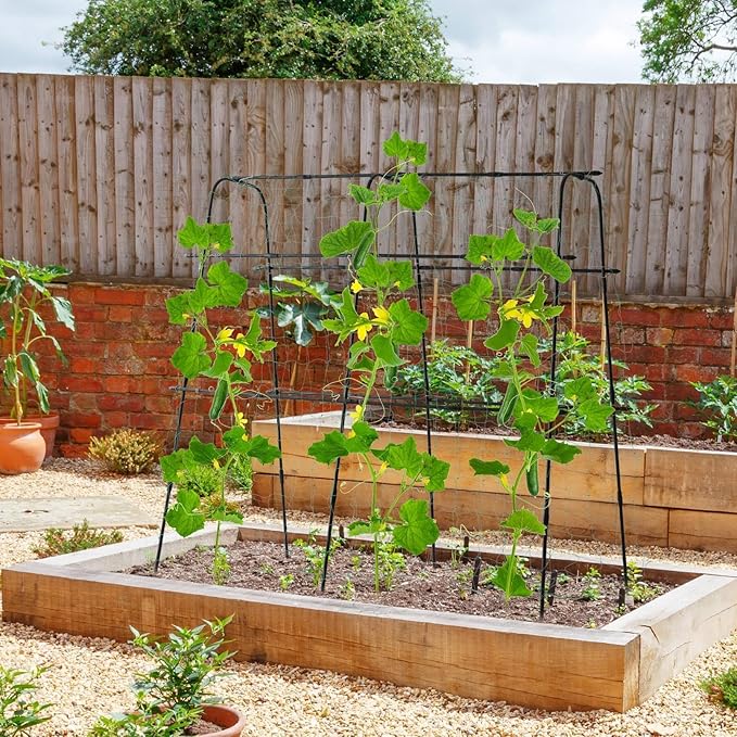 Garden Trellis for Climbing Plants Outdoor, 5.3x5.3ft Garden Trellis Climbing Plant Support Plastic-Coated Metal U-Shaped Vine Vegetables Tomato Cucumber Trellis Raised Bed, with Netting, Black