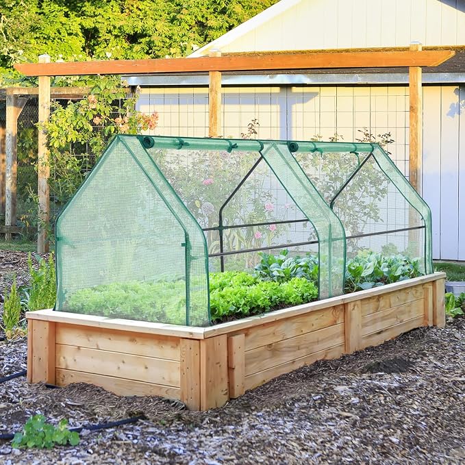 Ohuhu Portable Mini Greenhouse, 71"x36"x36"+ Greenhouse Repair Tape Plastic