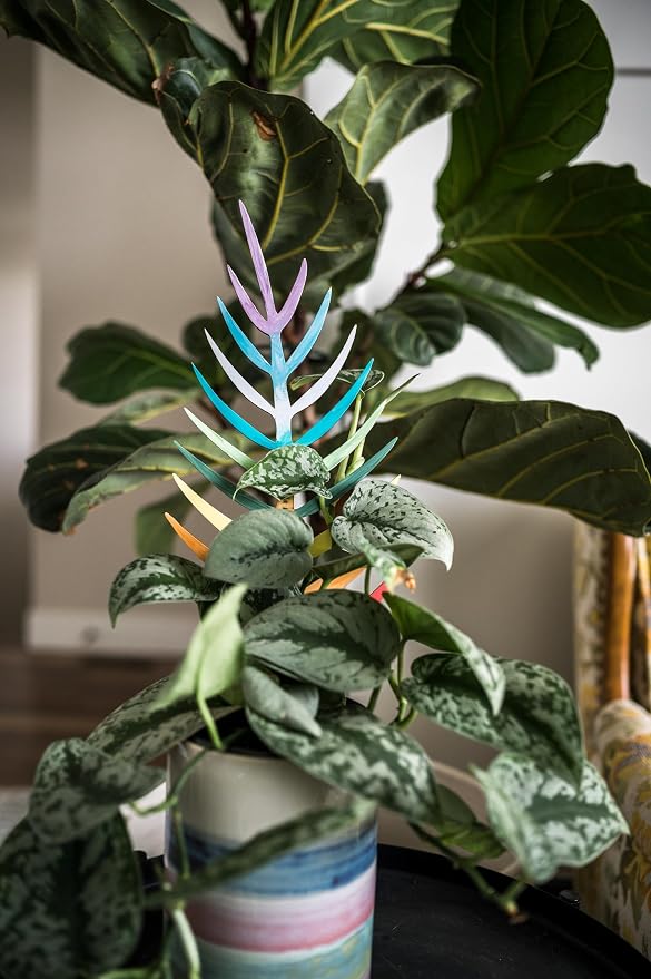 Treleaf Bare™ Bundle – Monstrella + Palmella - Set of 2 Wooden Plant Trellises for Indoor Climbing Houseplants – 12” Tall Customizable Leaf-Shaped Plant Supports