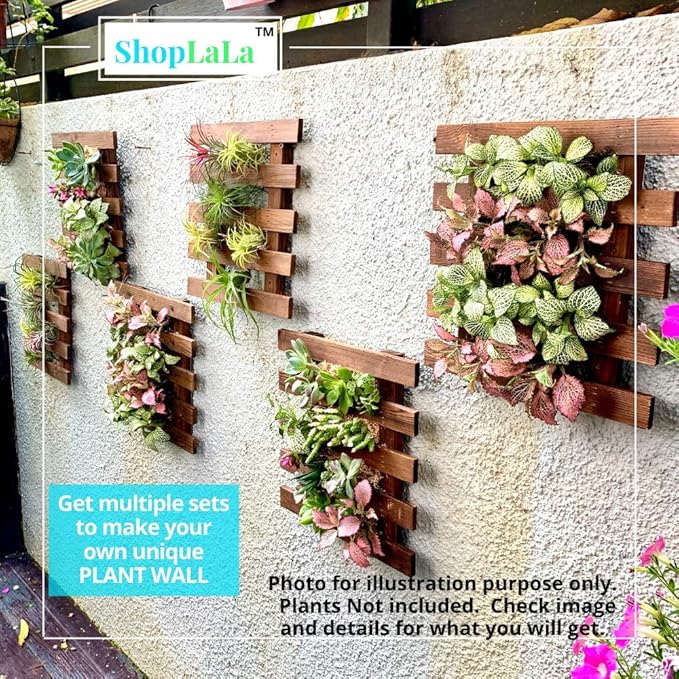 ShopLaLa Bundle- 2 Pack, 11.4 Inch Wooden Plant Holder + 10 Pack, 4 Inch Self Watering Plastic Pot Hanging Vertical Wall Mount Hydroponic Garden Indoor Frame Display Live Air Plants Orchids Decoration