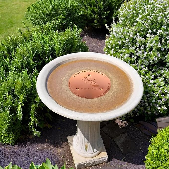 QIANQIANBird Bath Copper Disk, 0.6mm Reinforced 99.99% Pure Copper Cleaning Disk for Physical Safe Clean Water All-Season, Universal Fit for Outdoor Birdbaths, Bowl, Bird Bath Solar,2-Pack