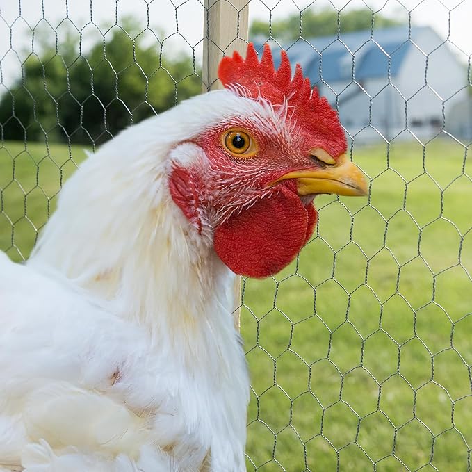 YARDGARD – 2 in. Twisted Mesh Wire Fence – 24 in. x 150 ft. 20‑Gauge Galvanized Steel – for Poultry Netting | Chicken Coops | Garden Protection | Animal Enclosures