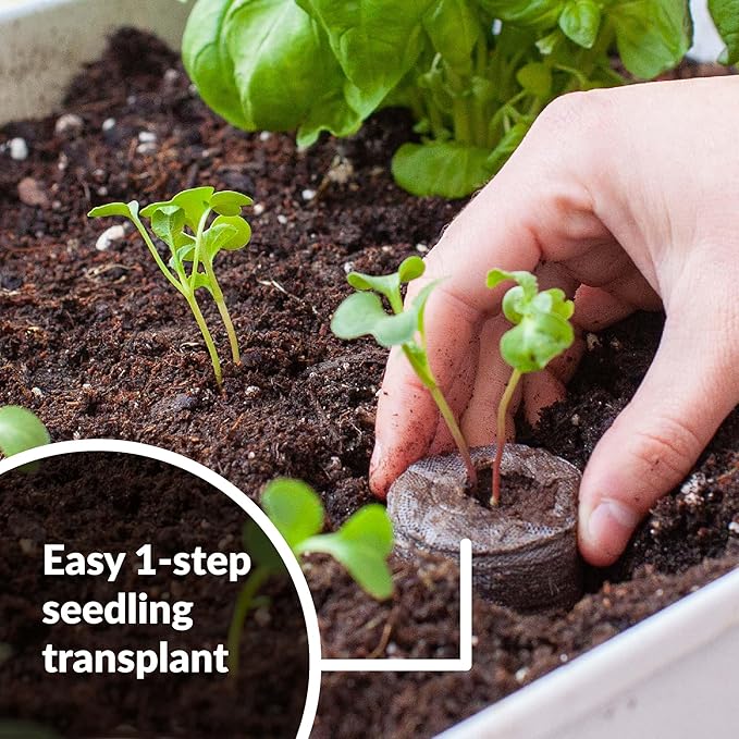 100 Count- Jiffy 36 MM Peat Soil Pellets Seeds Starting Plugs: Indoor Seed Starter- Start Planting Indoors for Transplanting to Garden and SUPERthrive Plant Vitamin Solution with Kelp, 4 Oz.