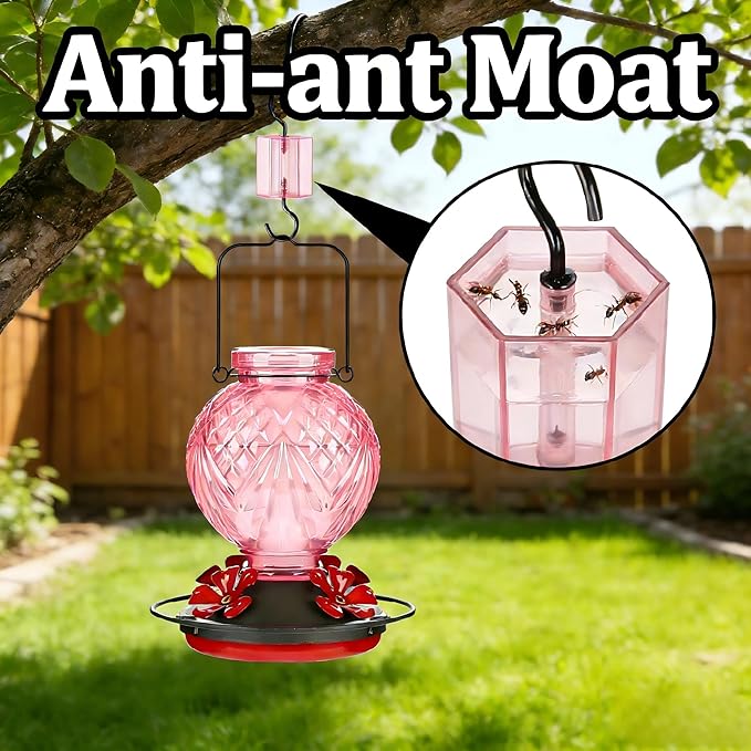Glass Hummingbird Feeder for Outdoors Hanging, 20oz Bird Nectar Feeder with 4 Bee Guard Flower-Shaped Ports & Built-in Ant Moat, Easy to Clean, for Bird Lover,1 Pack, Pink