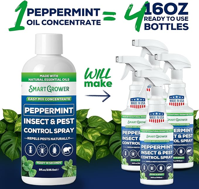 Peppermint Insect & Pest Control Best Value Concentrate - Repels Insects & Pests for Home, Indoor, Outdoor, Garden - Maximum Strength Concentrate (Makes Half Gallon RTU) 4 oz