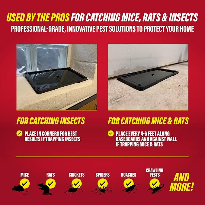 Catchmaster Rat, Snake and Mouse Traps 6Pk, Large Bulk Glue Rat Traps for Home, Adhesive Plastic Tray for Inside House, Snake, Mice, & Spider Catcher, Pest Control for House & Garage