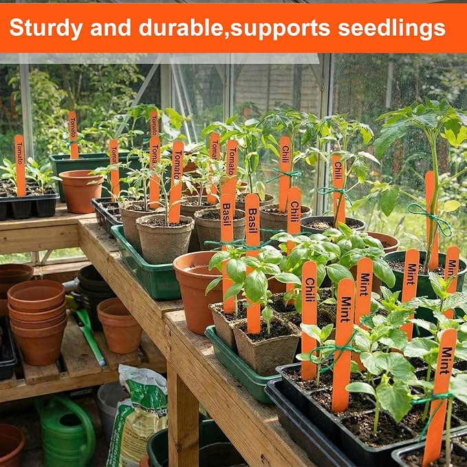 Weysat 200 Pcs 12" Wood Plant Labels for Field or Containers Plant Tags Wood Garden Labels for Seedling Stakes Markers Nursery Seed Tags with Smooth Surface for Pot Herbs Flowers Vegetables (Orange)