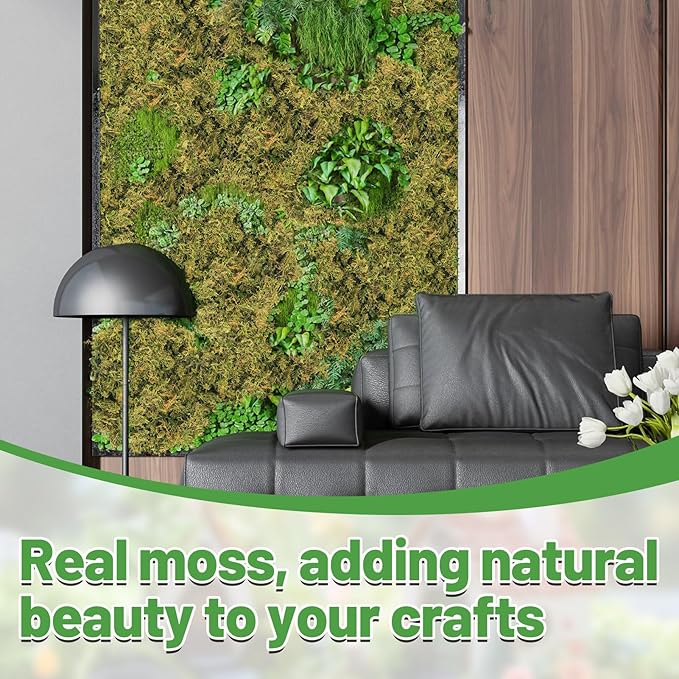 70oz Jumbo Pack Natural Green Moss for Crafts - Bulk Moss for Plants Indoor, Artificial Fairy Gardens, Mosswall, Filling Fake Plants, Floral Design, Home Decoration, Professional DIY Use