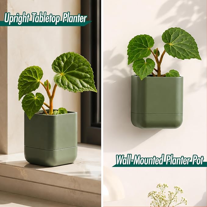 Phoenix Vine 3.5 Inch Wall Mounted Self-Watering Planter Pot for Indoor Houseplants and Herbs | Hanging Planter for Window Sills, Bathroom Walls, Home & Office Décor, Olive, Set of 6, 01-A-F-6