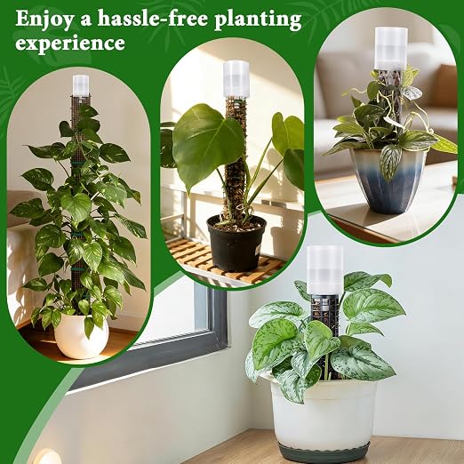 6 Pack Adjustable Moss Pole Watering Dripper, Self Watering Planter Insert with Flow Control, Plant Watering Globes Devices, Slow Release Self Watering Spikes for Monstera Epipremnum