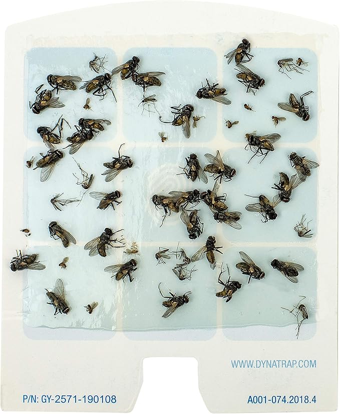 DynaTrap 23005-0612 DOT StickyTech Replacement Indoor Flying Insect Trap Glue Cards - 6 Pack