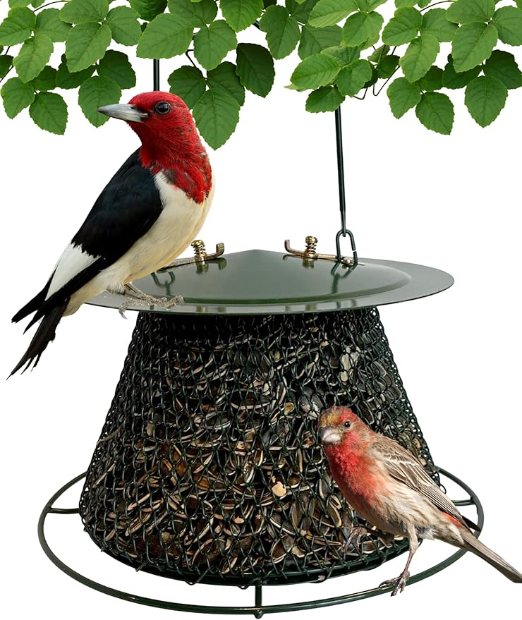 Green Collapsible Mesh Bird Feeder - Hanging Bird Feeder - Holds 1 Pound of Sunflower Seeds