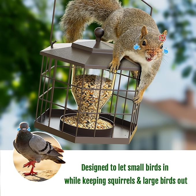 Birdream Squirrel Proof Bird Feeders for Outdoor Hanging, Metal Cage Bird Feeder with Rain Proof Covered for Wildbirds Bluebird Finches, Brown