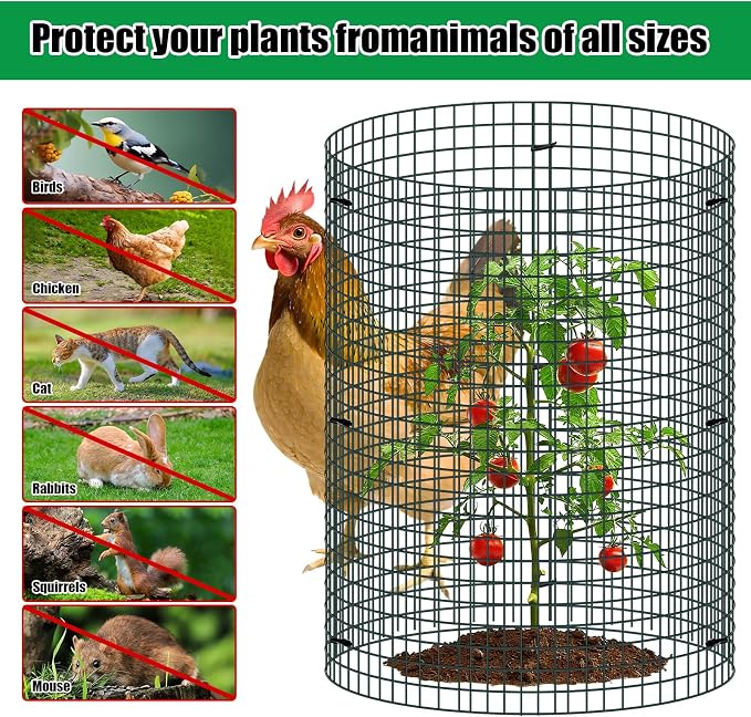 5 Pack Wire Plant Protector, 16"x12" Detachable Metal Plant Protectors Mesh, Garden Plant Protectors for Shrubs Flowers Vegetables to Keep Rabbit & Chicken Animals Out